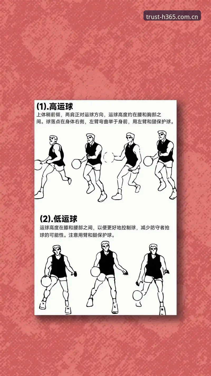 365体育平台最新版完全使用指南：从基础操作到高级技巧